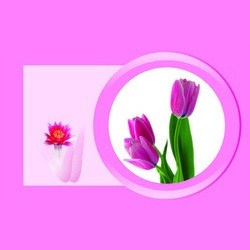 PP Table Covers Manufacturer Supplier Wholesale Exporter Importer Buyer Trader Retailer in Karim Paharganj India